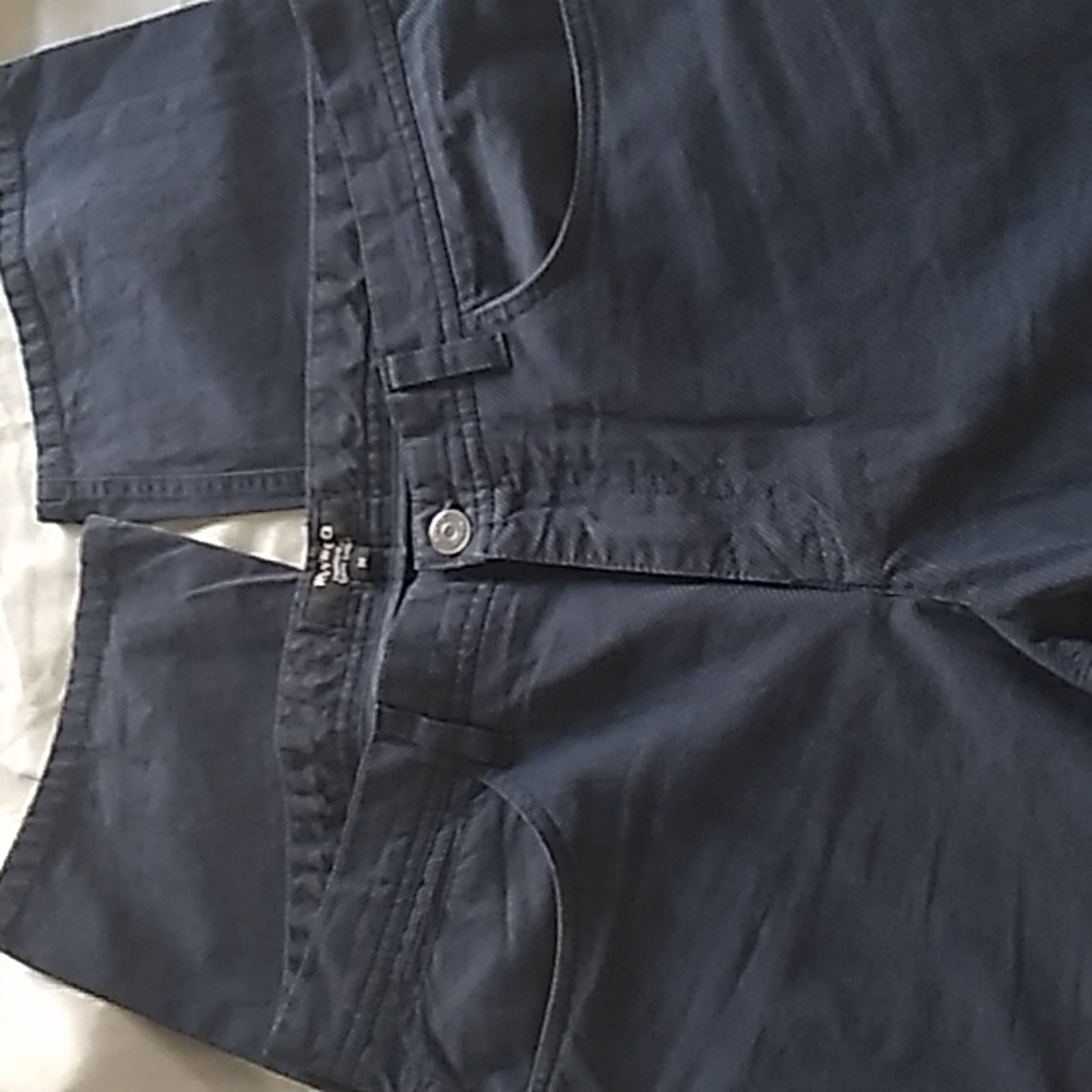 RW&co mens pants 34 blue